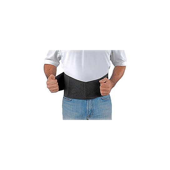 Ovation Medical Lumbar Support