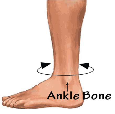 fla prolite 3d ankle support
