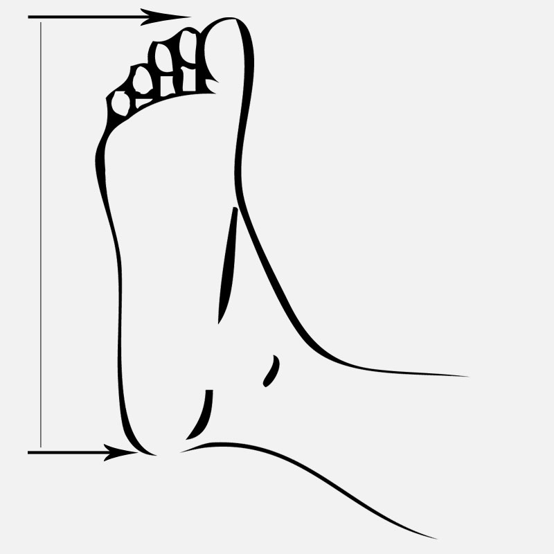foot length