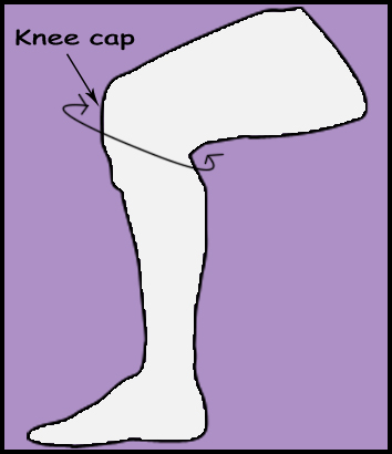 knee circumference
